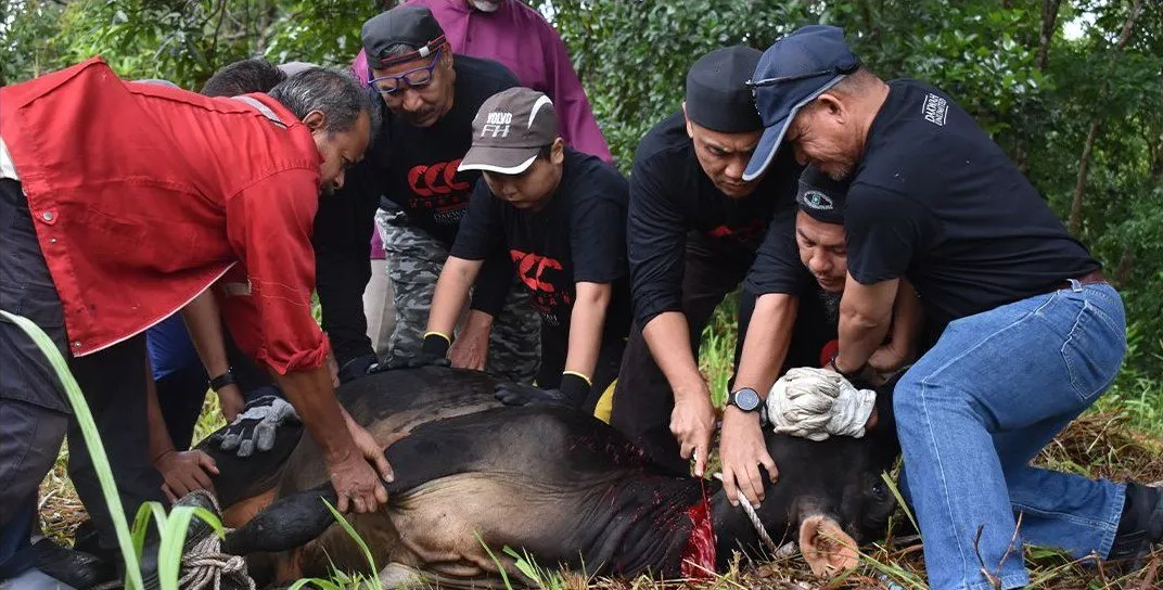 Korban Mega bersama Orang Asli Sungai Pergam — gambar 2