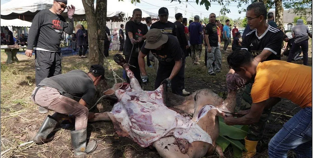Majlis Korban Perdana Dakwah Unlimited — gambar 2