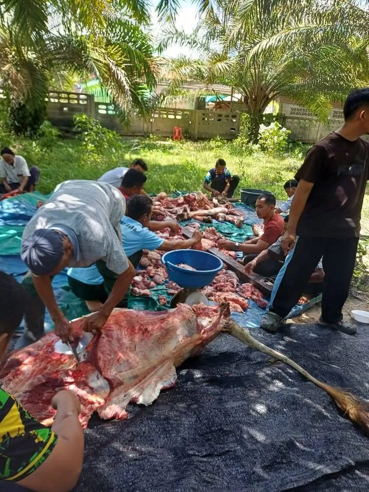 Program Korban Selatan Thailand 1447H — gambar 3
